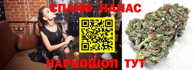 эйфоретик Балахна