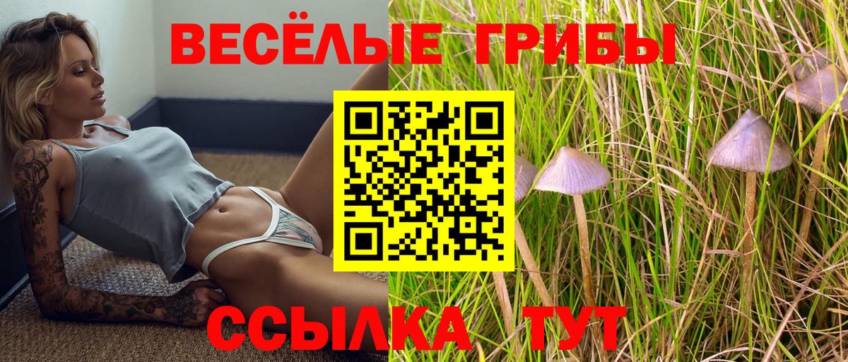 Псилоцибиновые грибы MAGIC MUSHROOMS Киселёвск